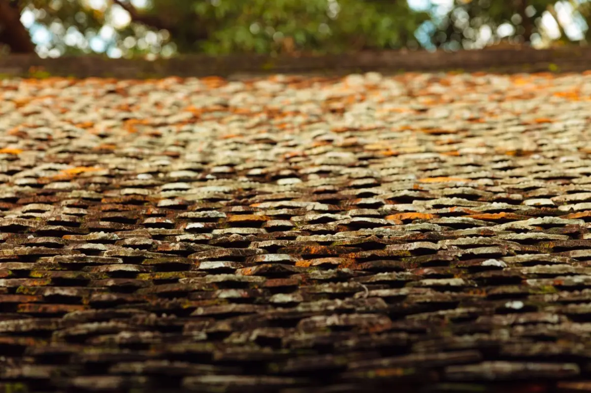 Roof Coatings & Sealing in Biloxi, MS
